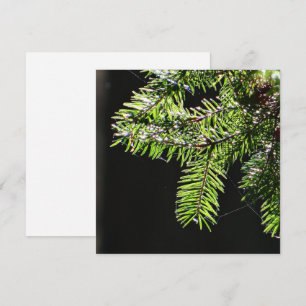 Fir tree card