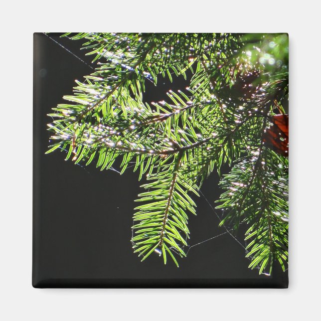 Fir tree magnet (Front)
