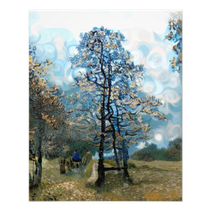 FIR TREE PHOTO PRINT