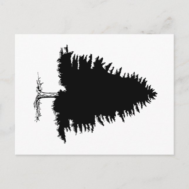 Fir Tree Postcard (Front)