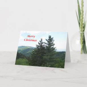 Fir Trees Holiday Card