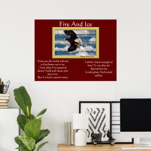 Fire And Ice Bald Eagle Over Snow Posters