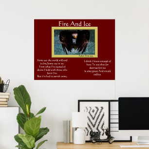 Fire And Ice Bald Eagle splash Posters