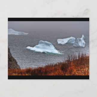 Fire and Ice Postcard