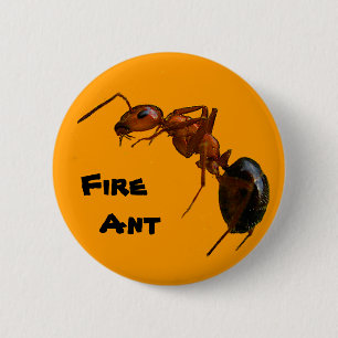 Fire Ant 6 Cm Round Badge