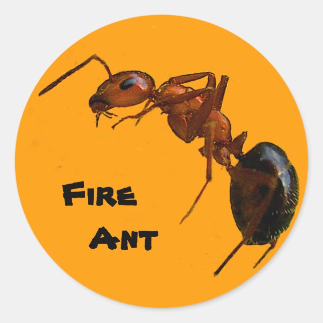 Fire Ant Classic Round Sticker (Front)