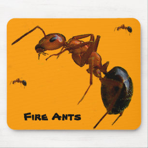 Fire Ants Mouse Pad