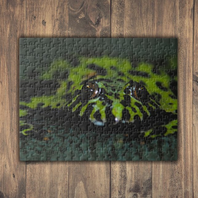 Fire Bellied Toad Closeup Jigsaw Puzzle (Fire Bellied Toad Closeup Jigsaw Puzzle)