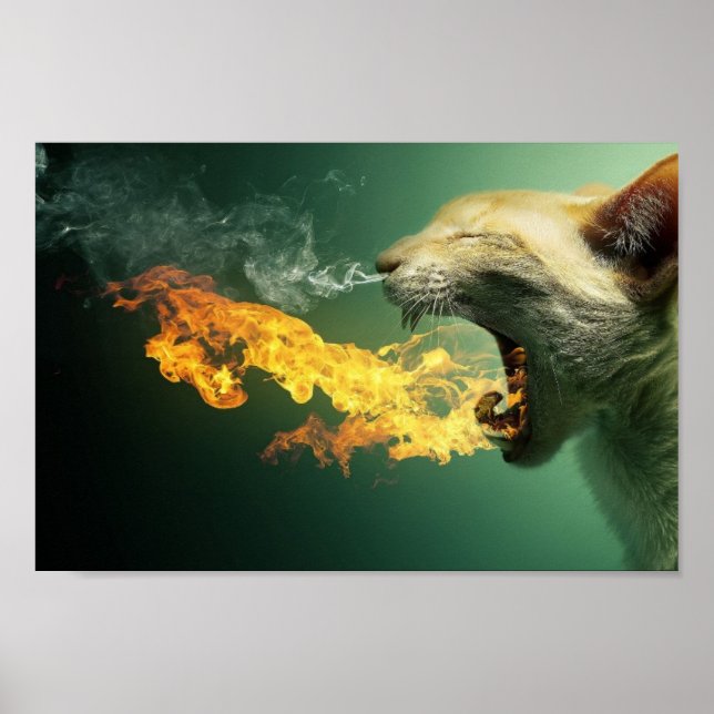 Fire Breathing Cat Poster (Front)
