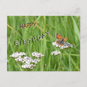 Fire Butterfly Cust. Happy Birthday Postcard