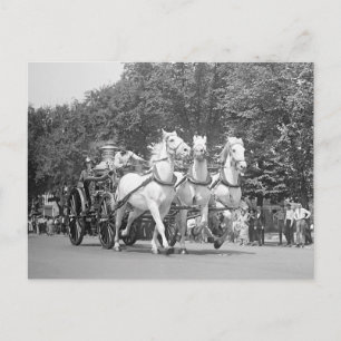 Fire Department Horses, 1925 Postcard