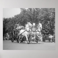 Fire Department Horses, 1925. Vintage Photo