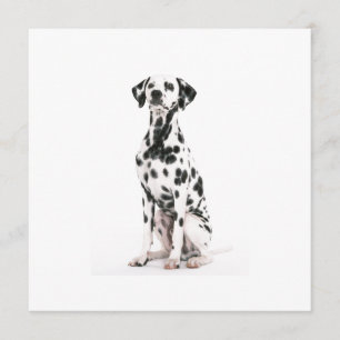 Fire Dog Invitations