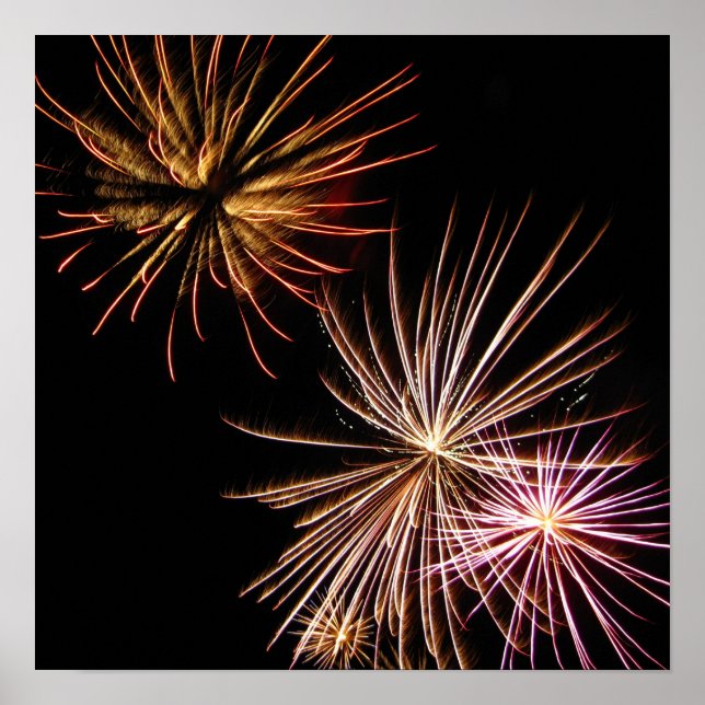 Fire Flower Poster (Front)