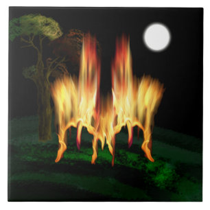Fire Fly Ceramic Tile
