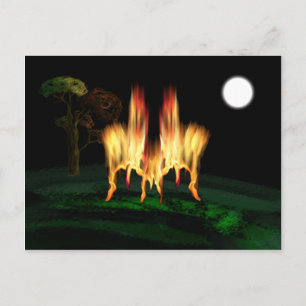 Fire Fly Postcard