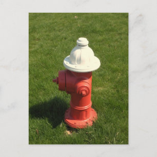 Fire Hydrant Postcard! Postcard