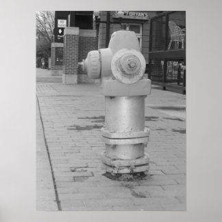 fire hydrant poster