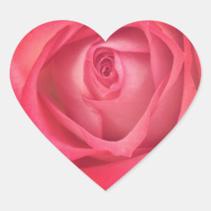 Fire & Ice Rose Heart Sticker