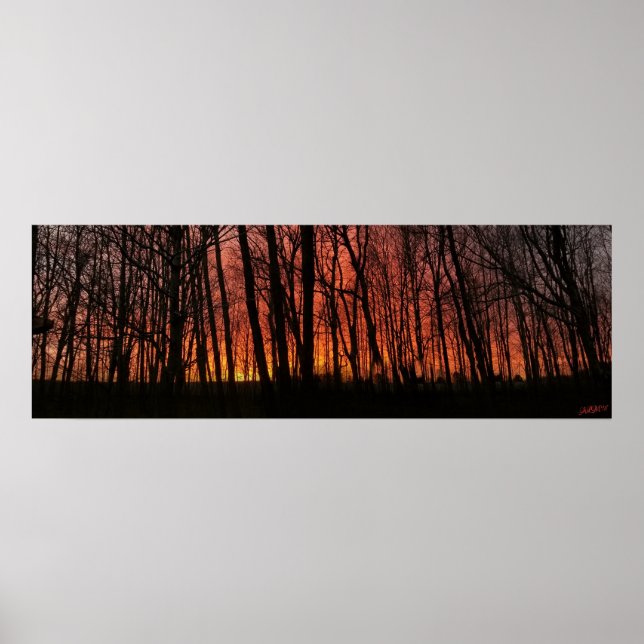 "Fire in the Sky" Sunset Poster (Front)