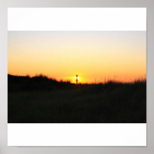 FIre Island deer sunrise Poster