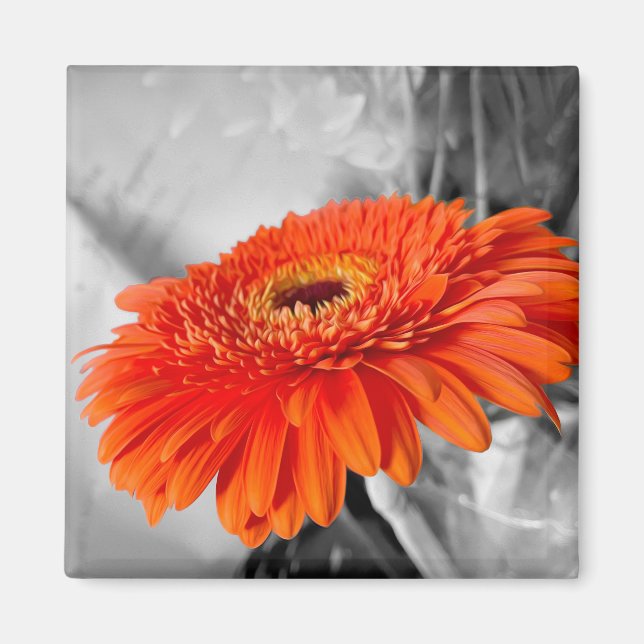 Fire on petals magnet (Front)