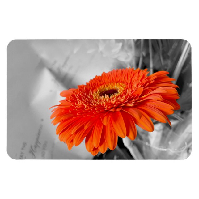 Fire on petals magnet (Horizontal)