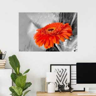 Fire on petals poster