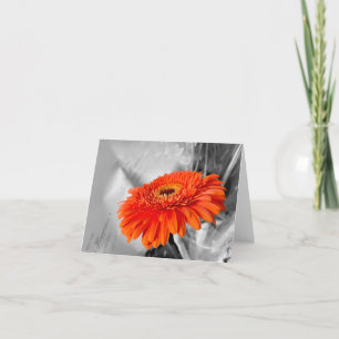 Fire on petals thank you card