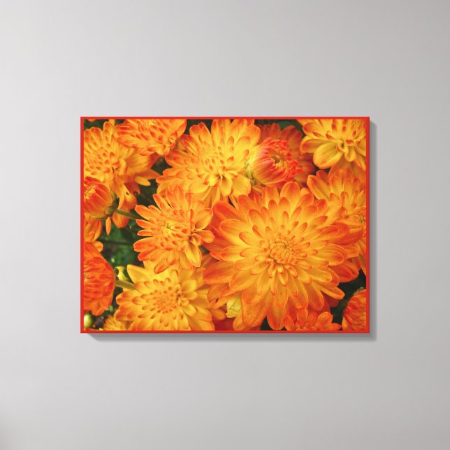 Fire Orange Chrysanthemums Canvas Print (Front)