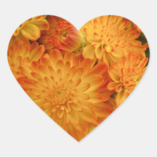 Fire Orange Chrysanthemums Heart Sticker