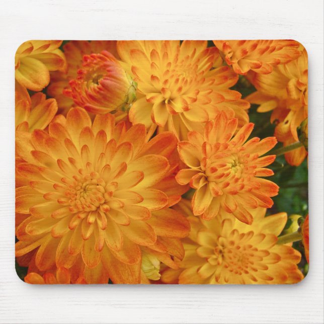 Fire Orange Chrysanthemums Mouse Pad (Front)