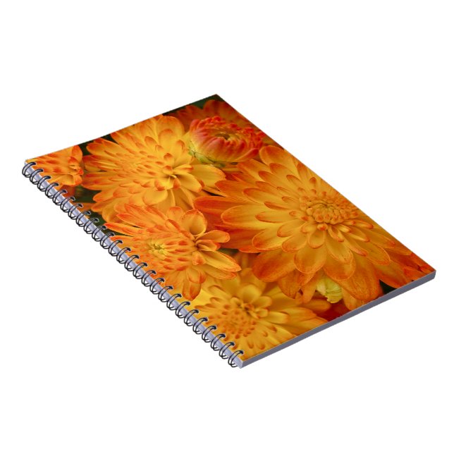 Fire Orange Chrysanthemums Notebook (Right Side)
