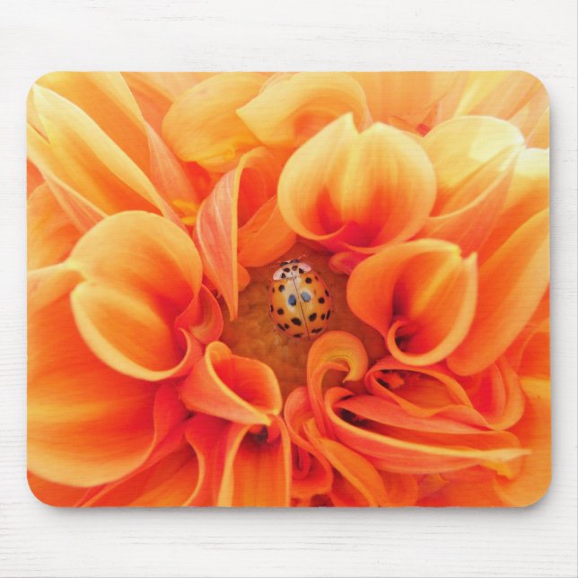 Fire Orange Dahlia with Lady Bug Flower Mouse Pad (Front)