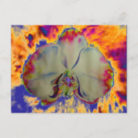 Fire Orchid, abstract vibrant watercolor floral