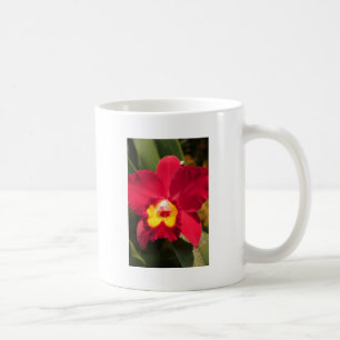Fire Orchid Coffee Mug
