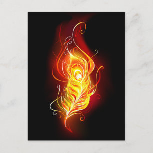 Fire Peacock Feather Holiday Postcard