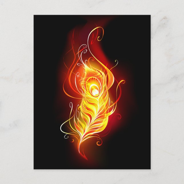 Fire Peacock Feather Holiday Postcard (Front)