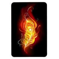 Fire Peacock Feather