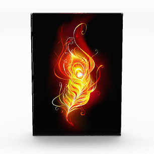 Fire Peacock Feather Photo Block