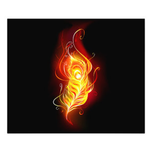 Fire Peacock Feather Photo Print
