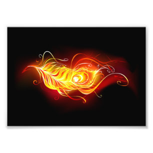 Fire Peacock Feather Photo Print