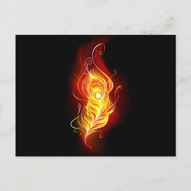 Fire Peacock Feather Postcard (Front)