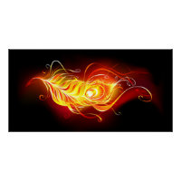 Fire Peacock Feather