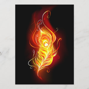 Fire Peacock Feather Program