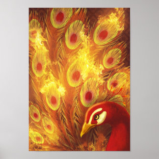Fire peacock poster