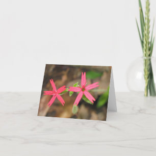 Fire Pink - Customized2 Card
