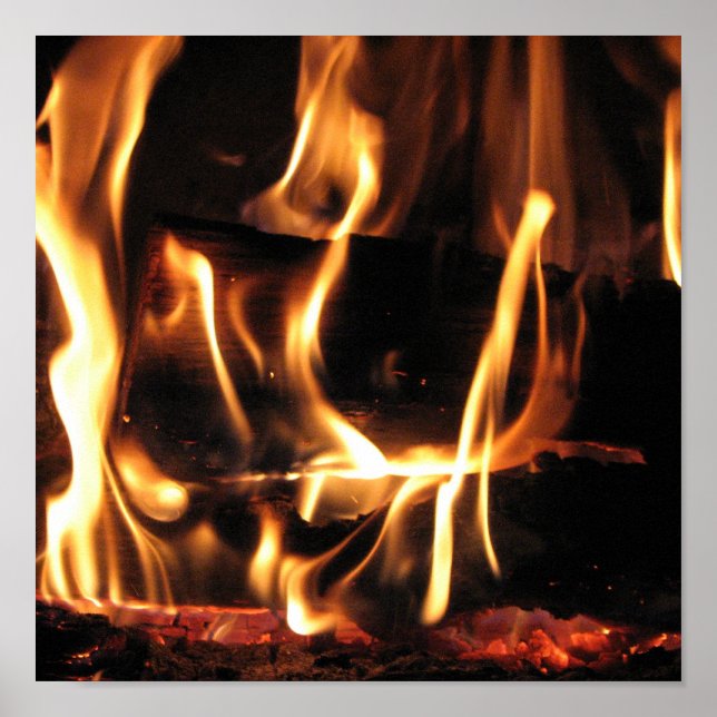FIRE POSTER (Front)