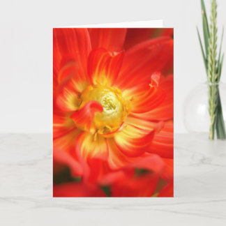 fire red dahlia card