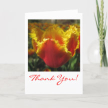 Fire Tulip Thank You Card